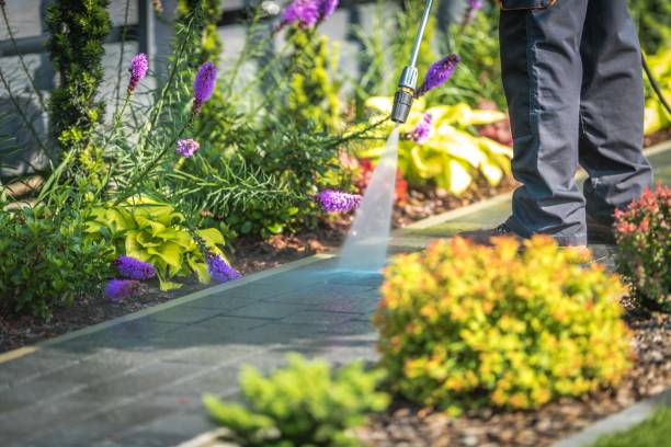 Best Parking Lot Cleaning in Falmouth, VA